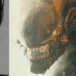 Alien Remake In the Works