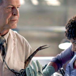 FRINGE Grosses Viewers Out And Spikes Ratings