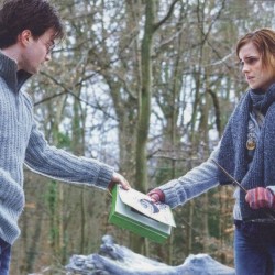 Harry Potter and the Deathly Hallows: New Images and Movie Details