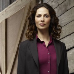 WAREHOUSE 13 Agent To Snag, Bag, and Tag On ABC’s NO ORDINARY FAMILY