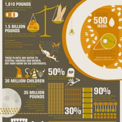 Pic of the Day: Halloween By The Numbers Infographic