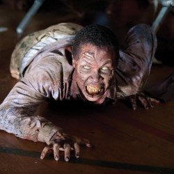 TV Review: The Walking Dead: Season 2, Episode 2 “Bloodletting”