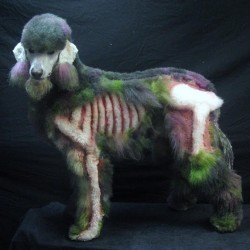 Pic of the Day: Zombie Poodle