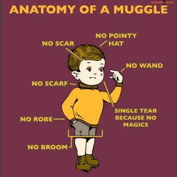 Pic of the Day: Anatomy of a Muggle