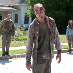 TV Review: The Walking Dead: Season 2, Episode 6 “Secrets”