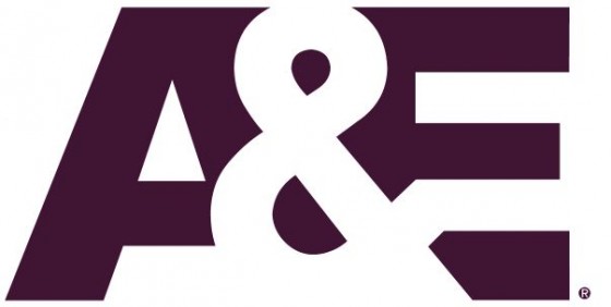 a and e logo wide