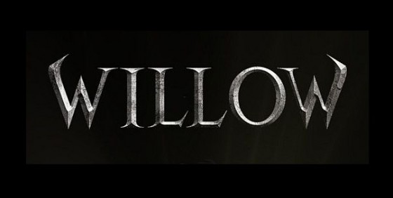 Willow logo wide