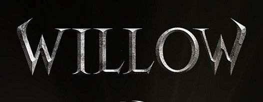 Willow logo