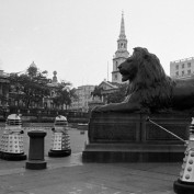 bw DW dalek invasion 01