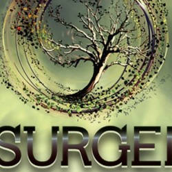 The Greenlight Goes to Divergent Sequel INSURGENT