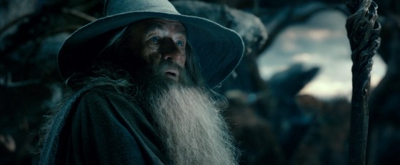 The Hobbit TDOS 07 Gandalf