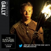 The Maze Runner Character 8