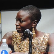 The Walking Dead sdcc 2013 Danai Gurira