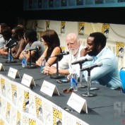 The Walking Dead sdcc 2013 panel