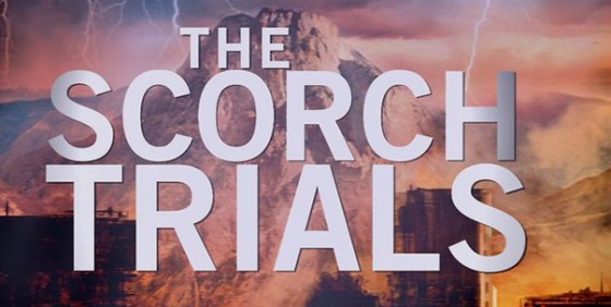 the scorch trials wide