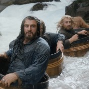 The Hobbit TDOS 001 river barrels