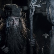 The Hobbit TDOS 006 Radagast