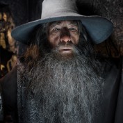 The Hobbit TDOS 012 Gandalf