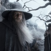 The Hobbit TDOS 030 Gandalf Radagast