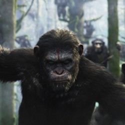 An Audience is Requested of Caesar in This Teaser for DAWN OF THE PLANET OF THE APES