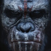 dawn of the planet of the apes 4