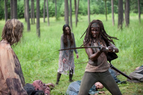 The Walking Dead 409 Michonne katana