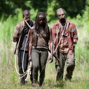 The Walking Dead 409 Michonne pets