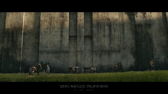 the maze runner wall