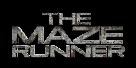 the maze runner wide