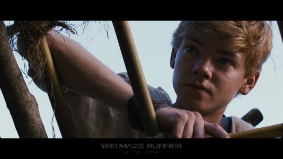 newt maze runner