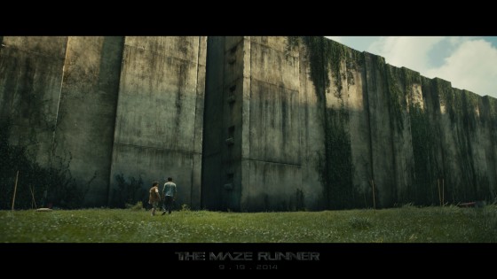 the maze runner wall