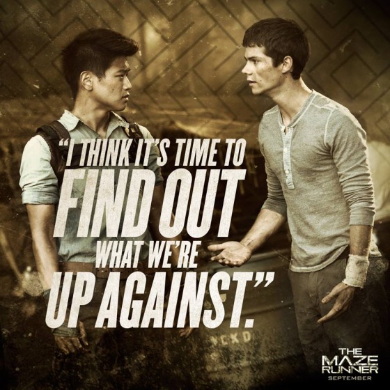 the maze runner