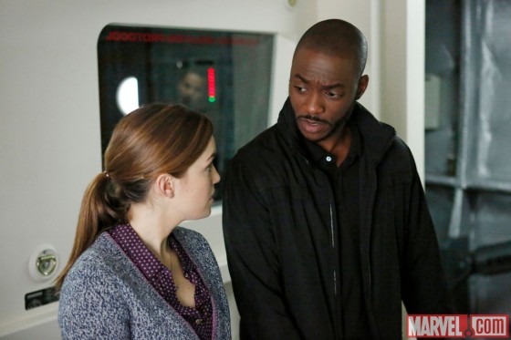 Marvel's Agents of SHIELD 114 Triplett