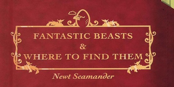 fantastic beasts and where to find them wide