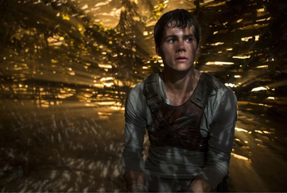 the maze runner INSERT2