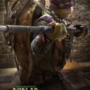 TMNT don900