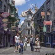 The Wizarding World of Harry Potter Diagon Alley Red Carpet Arrivals