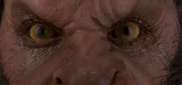 An American Werewolf in Remake Land!