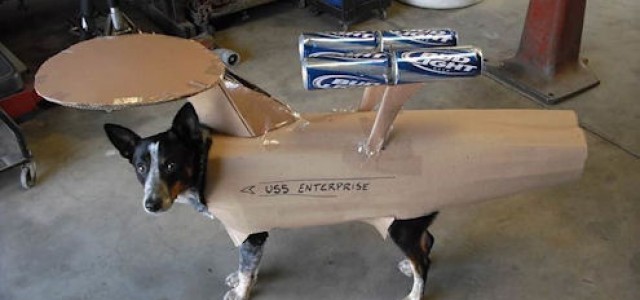 ‘As Seen On The Intertubes’ Volume XIII