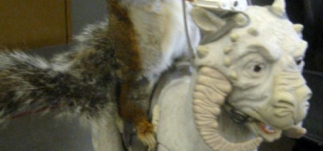 ‘As Seen On The Intertubes’ Volume XVI