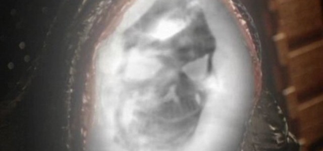 SGU Creative Consultant Takes You Behind The Scenes