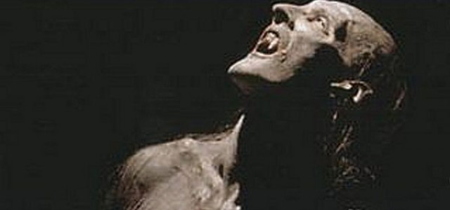 Daybreakers Facebook App: Drain Your Friends Dry