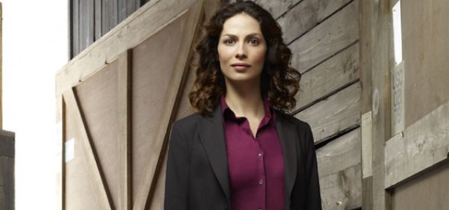 WAREHOUSE 13 Agent To Snag, Bag, and Tag On ABC’s NO ORDINARY FAMILY