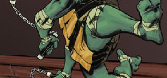 IDW Bringing TMNT Back to Comics With a Side of Eastman, Hold the Laird