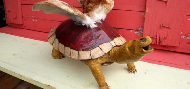 SciFi Mafia’s Pic of the Day: Koopa Troopa in RL