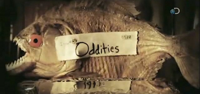 Midseason Finale of Science Channel’s ODDITIES Includes Steampunk and Fresh Eyeballs