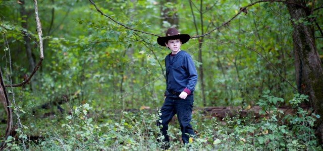 TV Review: The Walking Dead: Season 2, Episode 11 “Judge, Jury, Executioner”
