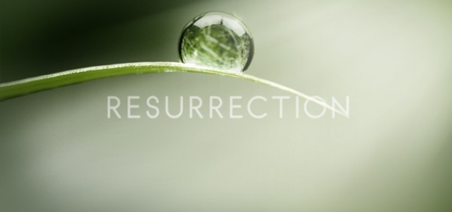 Adding Another Show to Our 2013-14 Calendar – ABC’s RESURRECTION
