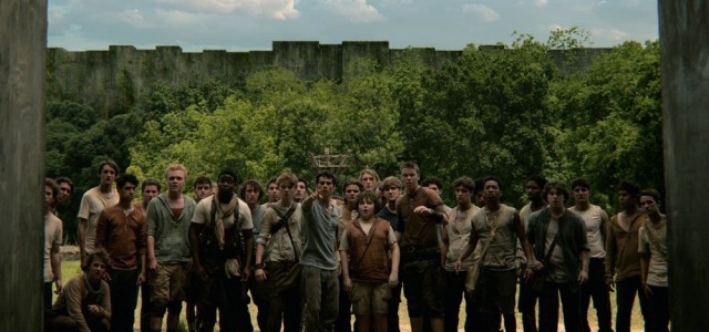 Newt’s Character Card and A Cast Photo From THE MAZE RUNNER Set