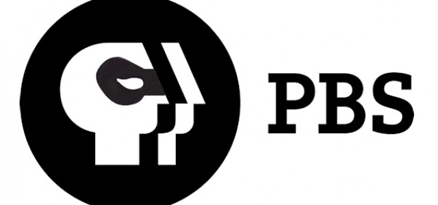 PBS Lets its Geek Flag Fly With SUPERHEROES: A NEVER-ENDING BATTLE